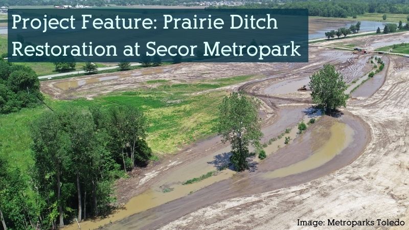 Project Feature: Prairie Ditch Restoration at Secor Metropark